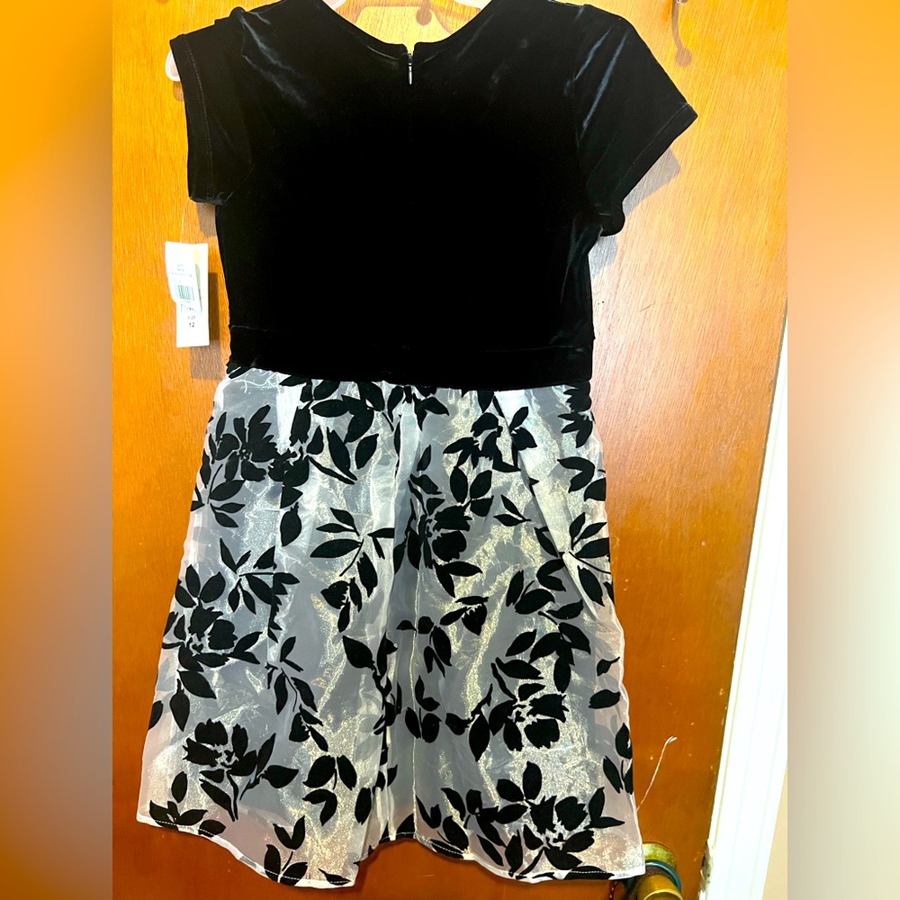 NWT GLAMOUR GIRLS VELVET DRESS